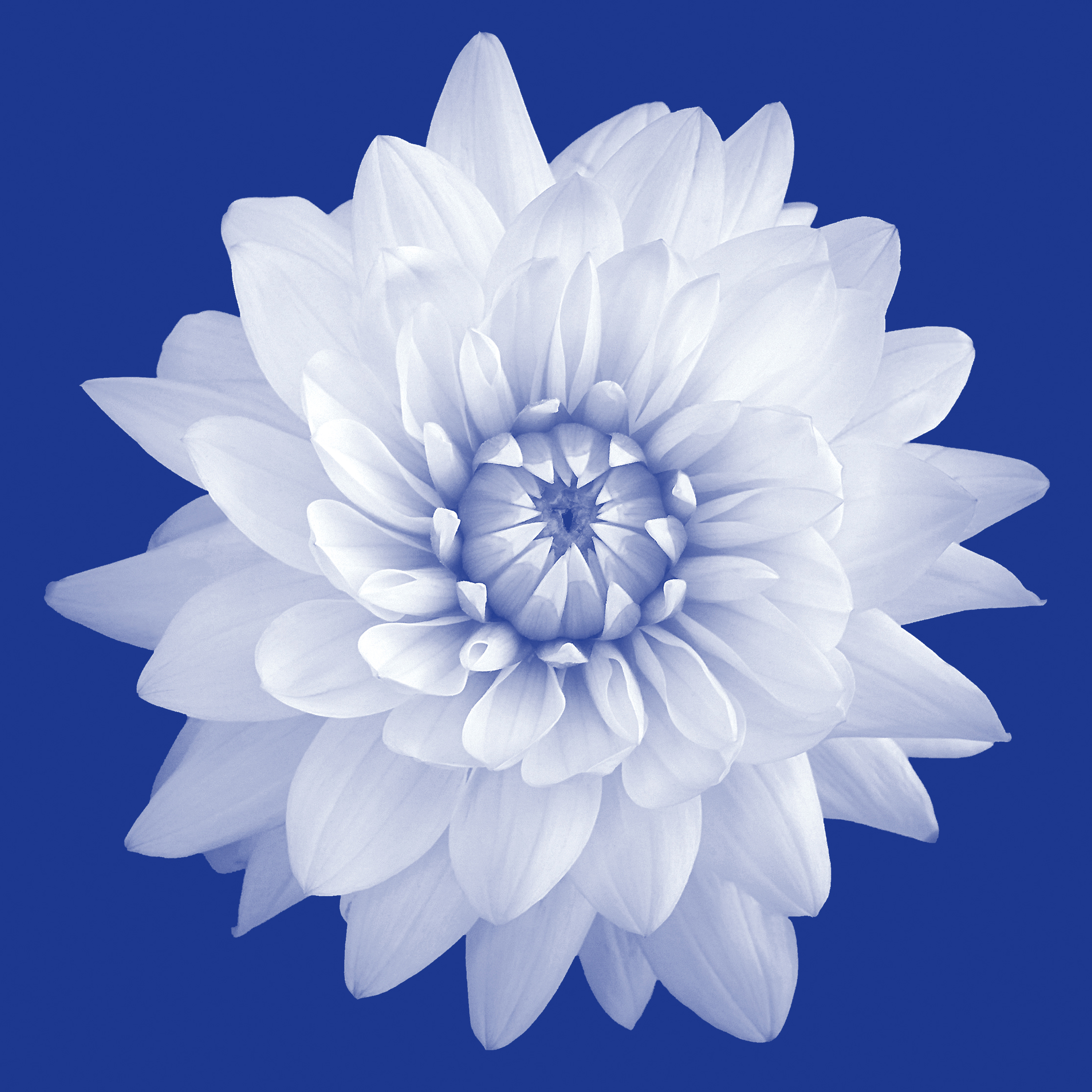Logo du cabinet